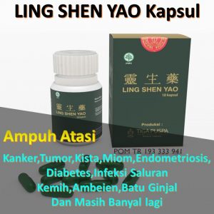 Harga Obat Penghilang Infeksi Saluran Kemih Ling Shen Yao Kapsul Rp. 340rb/box (isi 40 kapsul) untuk pemakaian 3 hari